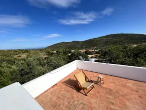 Top of The Hill - Image 4