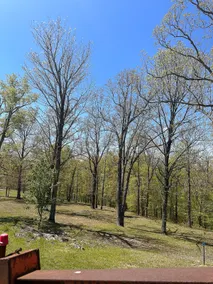 UNESco Site Cabin #1- Natl Park|BBQ|hike|BIKE - Image 5