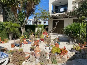 Small friendly, Central location - Image 4