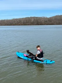 TN River Basecamp | Views, Fire Pit & Dogs Welcome - Image 5