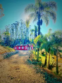 Sítio Nono Luiz - Image 2