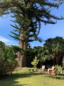 Relaxing Upcountry Base for Haleakalā & Beyond - Image 2