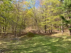 Spacious 5Bed/2.5Bath Haven: Escape to Rural Bliss - Image 4