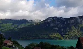 Panorama * - Image 5