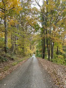 Simple Oaks Getaway - Image 3