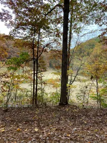 Simple Oaks Getaway - Image 4