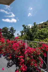 Stunning Midcentury - Ideal Location - VIEWS! - Image 5