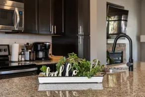 Top 1% • King Bed • BBQ • AC • Stocked Kitchen - Image 5