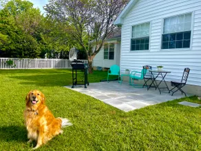 The Jungalow - Dog Friendly, Fenced in & Pool - Image 4