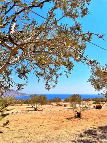 Amοopi Beach Country House - Image 3