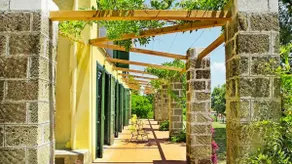 Villa with Pool surrounded by greenery - Image 2