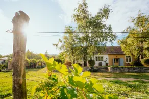 Country house Harmonia - Image 3