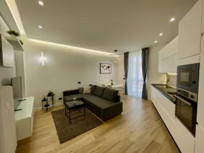 Luxury Downtown - Milan MF Apartments - Image 2