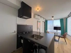 Trias, very close to Asakusa and Skytree, family apartment 1 - Image 3