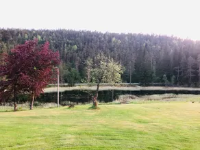 Cozy Sørlandshus for rent near Mandalselva. - Image 3