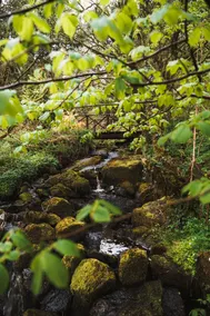Luxury studio with HOT TUB and Stunning Gardens - Image 2