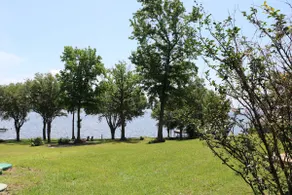 Lakefront Home! Enjoy open views of Lake Palestine - Image 2