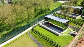 Perspective Mirror House Green (Hot Pool) - Image 3