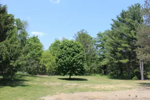 3BR/5 B house near Finger Lakes/Catherine Trail - Image 3