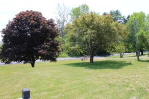 3BR/5 B house near Finger Lakes/Catherine Trail - Image 4