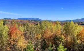 The Skyline Retreat (Newly Re-Listed) - Cable TV - Image 2