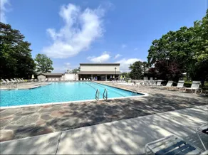 The Blue Heron, Across from The Cool Pool! - Image 3