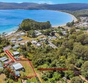 Blue Gum on Bruny - Image 3