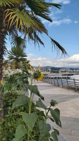 Genoa Pegli, apartment near the waterfront, terrace, balcony - Image 5