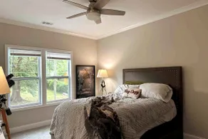 Close to Downtown, Modern 3 BR w/Driveway - Image 3