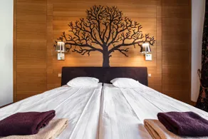 Apartments ”Spirit of the Tree” - Sauna - Fireplace - Image 3
