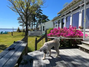 Beautiful Beachfront Home w/Stunning Views - Image 2