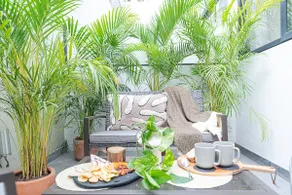 Best location in Polanco, 3 bedrooms with A/C - Image 4