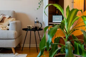 Cozy oasis in the heart of Turku - Image 4