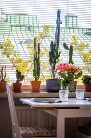 Cozy oasis in the heart of Turku - Image 5