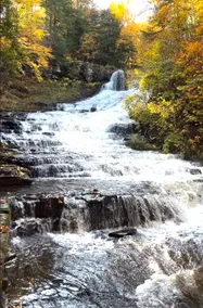 Emma Cottage - Creekside Upstate Retreat - Image 4