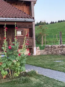Charming little home. - Image 2