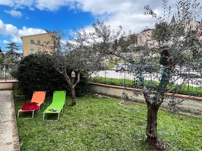 The olive trees of Mafalda - Image 3