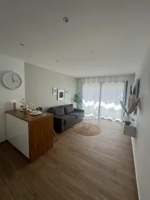 Entire Apartment - Image 5
