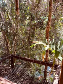 Ziruma Cabin - Image 2