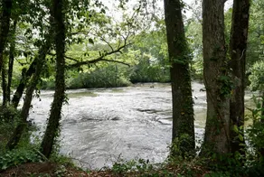 Covington River House - Image 2