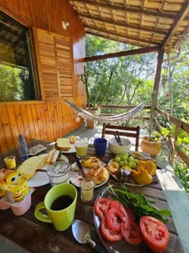 Tree house in the forest - Image 2
