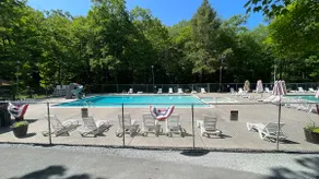 Private Wooded Escape + Fire Pit and Screen Porch - Image 3