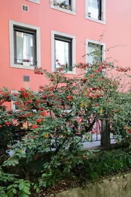 Residenza Cristoforo - Image 4