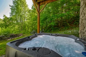 Stars Over Stecoah: Hot Tub & Sauna Cabin - Image 3