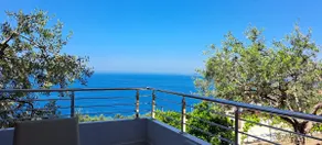 Mimo's House - Image 2