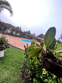 Estate with Pool and 2,500 m² | Near the Market - Image 4