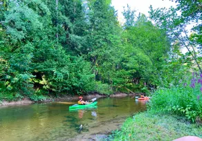 Gorgeous Lodge 1mile to Crystal Mtn, 4Bed+2Ba+2Family Rms+Game Rm+Kayaks+Pets Ok - Image 3