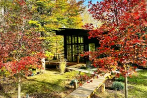 Anjuna House - a Scandi riverfront forest getaway - Image 2