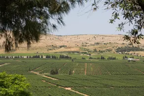 Aviv in the vineyard - a double cabin with a Jacuzzi in front of a stunning view of nature - Image 2