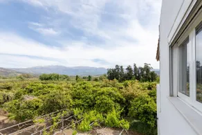 Aelia Village House, Quiet, Private, Cozy, Relax - Image 4